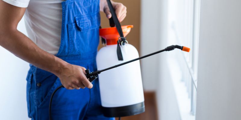 Our Pest Control Process